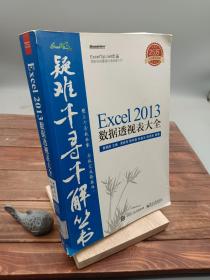 Excel 2013数据透视表大全