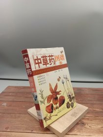 中草药图谱4