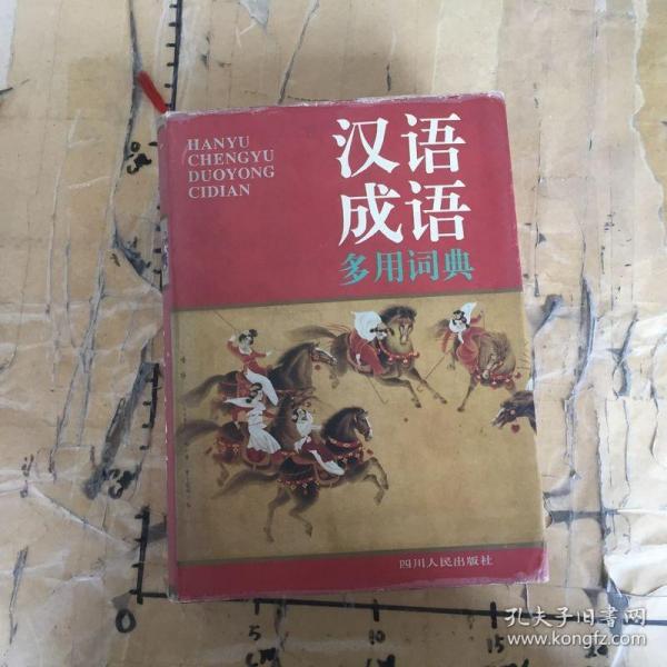 汉语成语多用辞典增订本