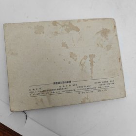 黑猩猩王国的秘闻