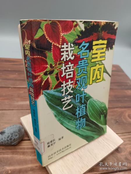 室内名贵观叶植物栽培技艺