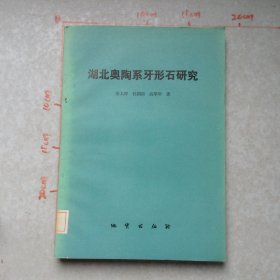 湖北奥陶系牙形石研究