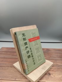 无形资产评估案例选编与评述