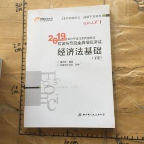 会计专业技术资格考试应试指导及全真模拟测试 经济法基础 2019(2册) 