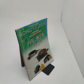 肉龜、觀賞龜?shù)酿B(yǎng)殖