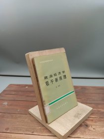 政治经济学若干新原理