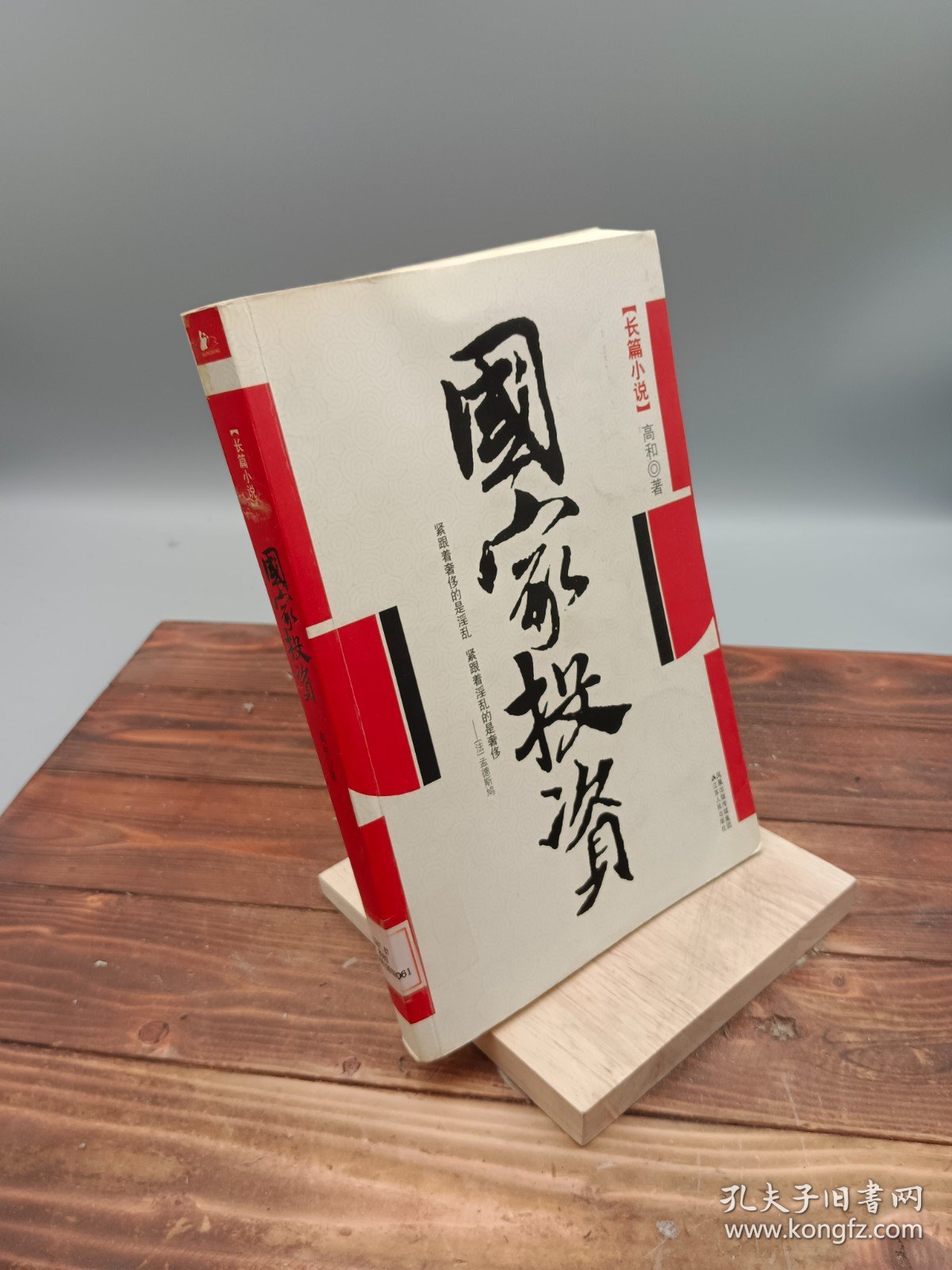 国家投资长篇小说