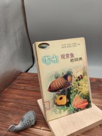 海水观赏鱼的饲养