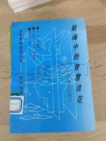 脑海中的智慧浪花