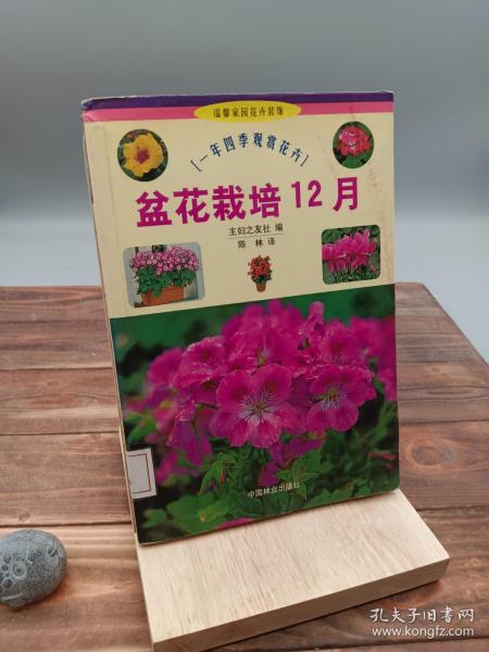 盆花栽培12月：一年四季观赏花卉