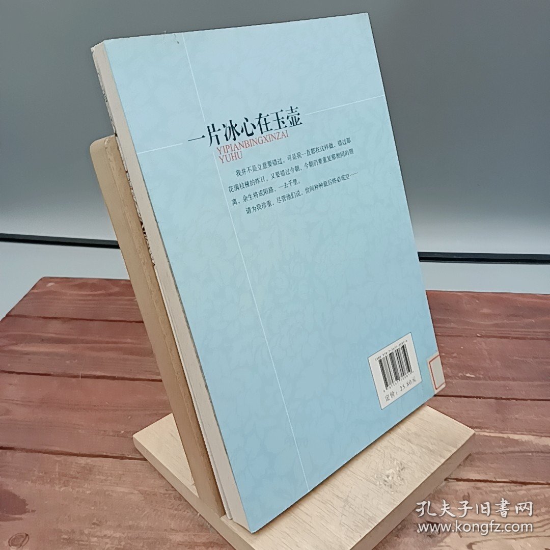 一片冰心在玉壶