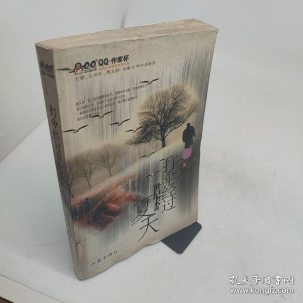 打伞经过世纪末的夏天