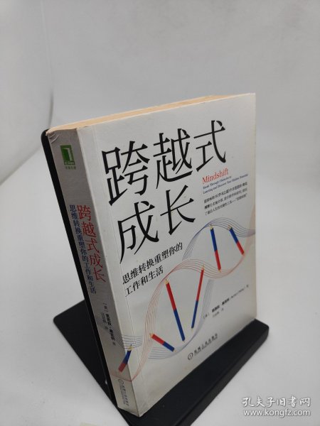 跨越式成长思维转换重塑你的工作和生活