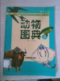 动物图典英汉双语5