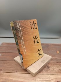 沈从文文集第四卷；小说