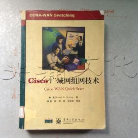 Cisco广域网组网技术