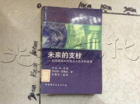 未来的支柱:美国政府对环境重大技术的政策