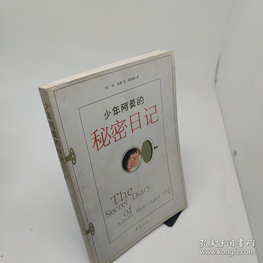 点击查看原图 少年阿莫的秘密日记