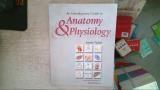 anatomy & physiology