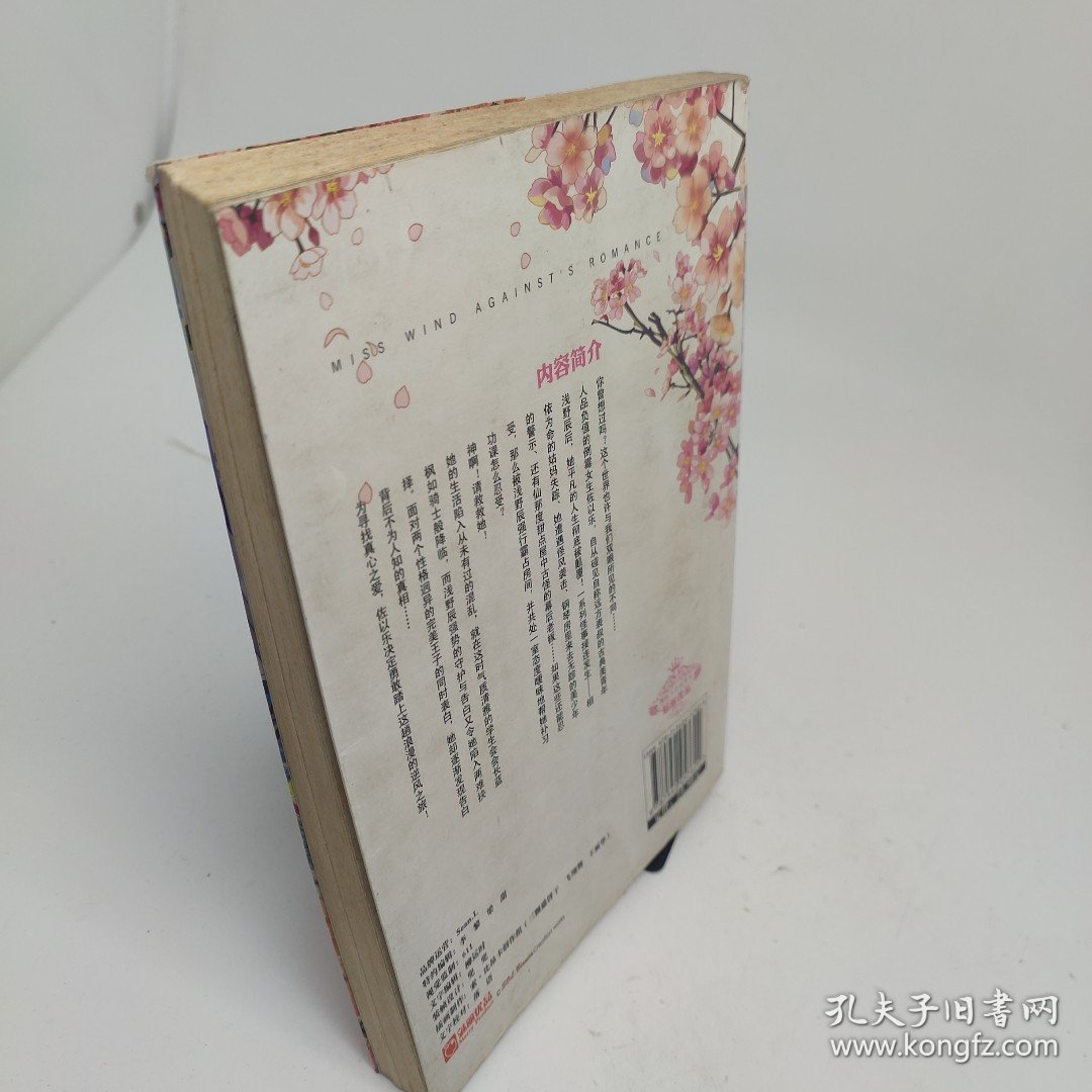 逆风小姐罗曼史