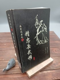 两宋风云乱之精忠岳武穆