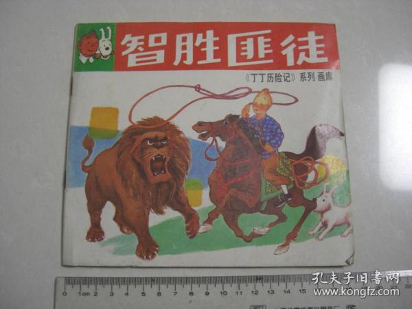 A13 智胜匪徒《丁丁历险记》系列画库