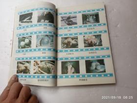 养鸽指南、内有插图、请自己看清图、售后不退货