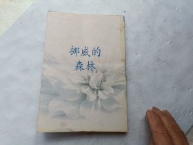 挪威的森林、请自己看淸图、售后不退货