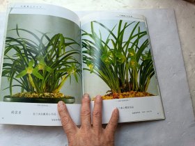 中国兰花名品录（春兰篇）、请自己看淸图、售后不退货