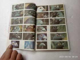 养鸽指南、内有插图、请自己看清图、售后不退货