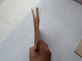 小鹰展翅、馆藏书、内有插图、书页全、请自己看清图