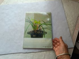中国兰花名品录（春兰篇）、请自己看淸图、售后不退货