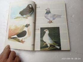 养鸽指南、内有插图、请自己看清图、售后不退货