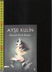 原版土耳其语小说 Kanadı Kırık Kuşlar / Ayşe Kulin【店里有一些土耳其语原版小说欢迎选购】