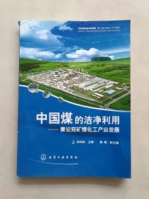 中国煤的洁净利用——兼论兖矿煤化工产业发展