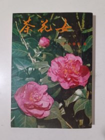 茶花女 （小仲马）