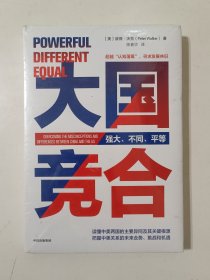 大国竞合：把握中美关系的未来走势、挑战和机遇