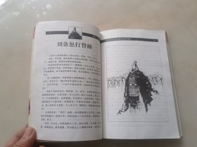 吴姐姐讲历史故事.3.三国～西晋(公元220～317年)