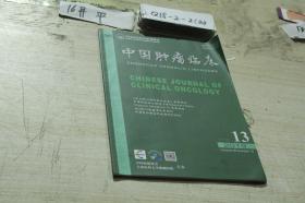 中国肿瘤临床半月刊 2012 13