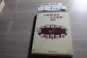 口腔解剖学彩色图谱