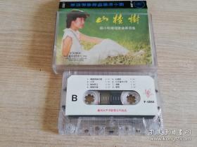 苏小明独唱歌曲第四集《山楂树》 飞向蓝天 我的中国心  童年  等16首 怀旧老磁带  附歌词