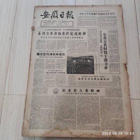 安徽日报1965年11 2共四版生日报 配高档礼盒