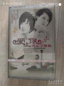 爱上你爱上了情歌 等共14首 新伤感经典情歌 展现完美视听极限 怀旧老磁带 没拆封