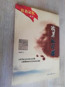 红色记忆系列铁道游击队   刘知侠  时代文艺出版社 2010年二版一印