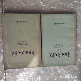 中国现代文学史上下册 七八十年代 中国人民大学语言文学系著 中国人民出版社