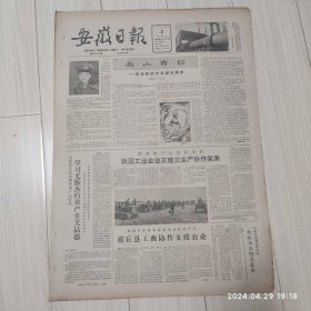 安徽日报1963年4月2号高山青松共四版配高档礼盒