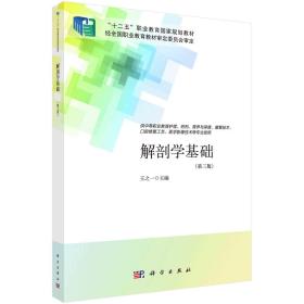 解剖学基础