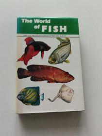 theW world of fish