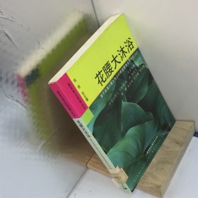 花腰大沐浴.新平县漠沙镇大沐浴村傣族傣雅支系村民日记