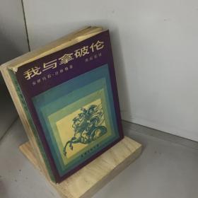 我与拿破仑.瑞典皇后黛丝蕾秘史